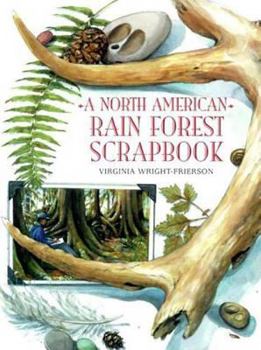 Hardcover North American Rain Forest Scrapbook Book