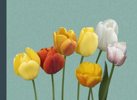 Paperback Flower Journal Planner: 8.25 x 6 weekly-monthly, 110 Pages | Tulips Photography Cover | Flower Pixel Studio Book