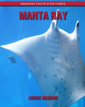 Manta Ray: Amazing Facts & Pictures