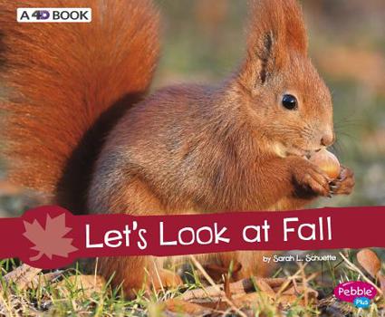Paperback Let's Look at Fall: A 4D Book