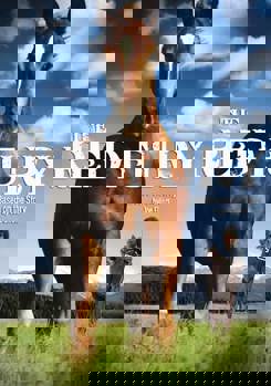 DVD The Red Fury Book