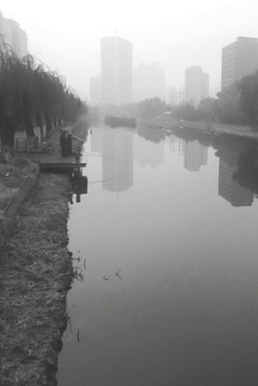 Paperback Essays: revised Book