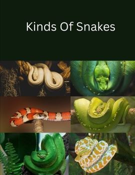 Paperback Kinds Of Snakes Book