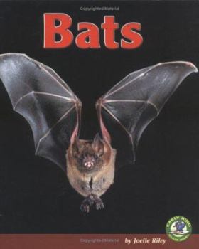 Library Binding Bats Book