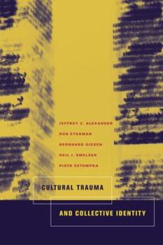 Hardcover Cultural Trauma and Collective Identity Book