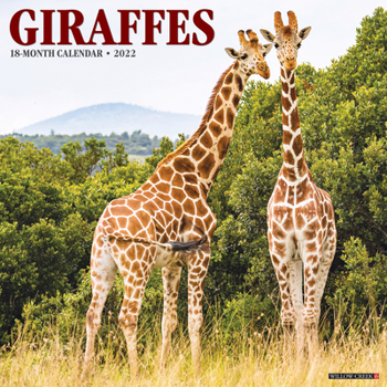 Calendar Giraffes 2022 Wall Calendar Book