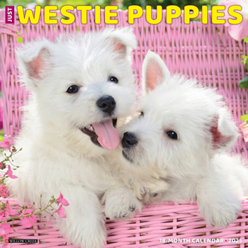 Calendar Just Westie Puppies 2025 12 X 12 Wall Calendar Book