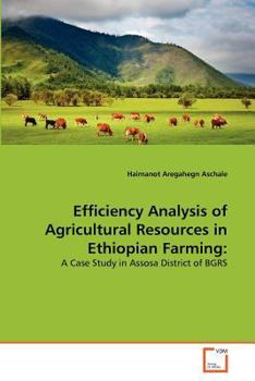 Paperback Efficiency Analysis of Agricultural Resources in Ethiopian Farming Book