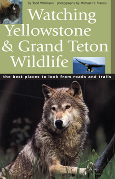 Paperback Watching Yellowstone & Grand Teton Wildlife Book