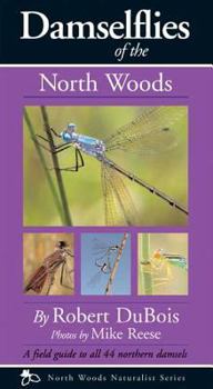 Paperback Damselflies of the North Woods Book