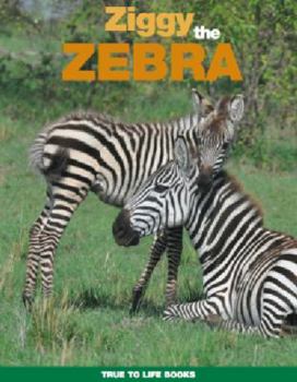 Paperback Ziggy the Zebra Book