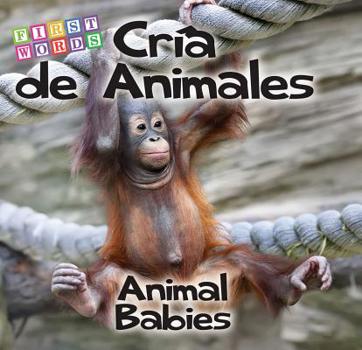 Board book Cría de Animales: Animal Babies [Spanish] Book