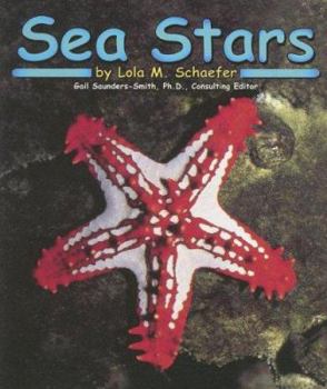 Sea Stars (Ocean Life) - Book  of the Abdo Kids: Ocean Life