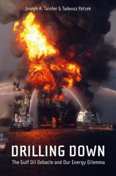 Paperback Drilling Down: The Gulf Oil Debacle and Our Energy Dilemma Book