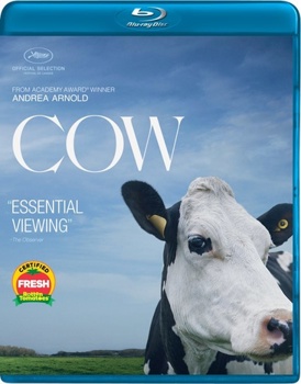 Blu-ray Cow Book