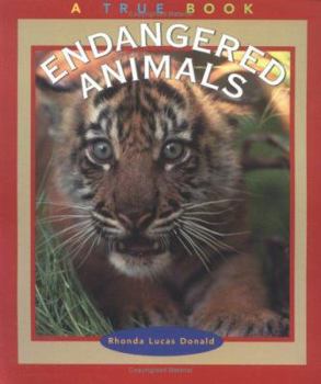 Paperback Endangered Animals Book
