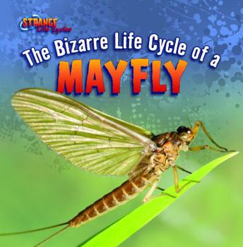 Library Binding The Bizarre Life Cycle of a Mayfly Book