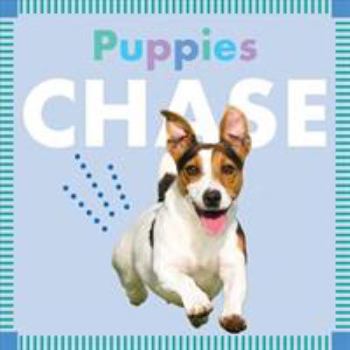 Puppies Chase - Book  of the Amicus Ink Animal Board Books