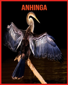 Paperback Anhinga: Super Fun Facts And Amazing Pictures Book