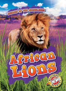 African Lions - Book  of the Scholastic: Blastoff!  Animals of the Grasslands