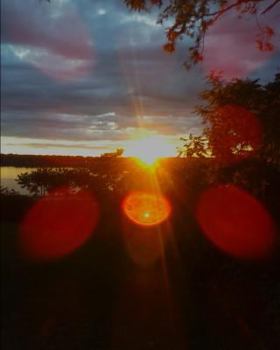 1001 Reasons To Be Thankful: