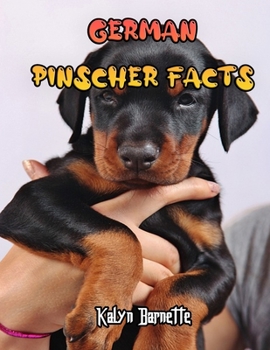 German Pinscher Facts: GERMAN PINSCHER fact for girl age 1-10 GERMAN PINSCHER fact for boy age 1-10 facts about all about GERMAN PINSCHER