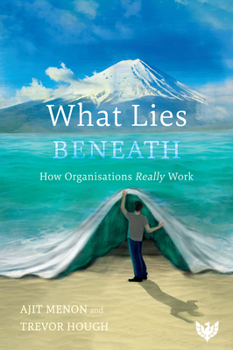 Paperback What Lies Beneath: How Organisations Really Work Book