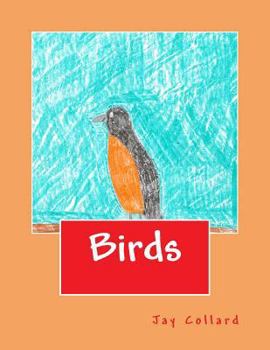 Paperback Birds Book