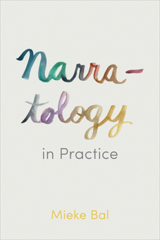 Paperback Narratology in Practice Book