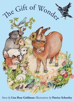 Hardcover The Gift of Wonder Book