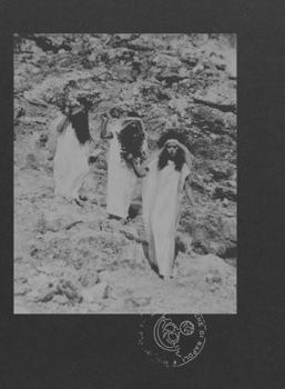 Paperback Le Nemesiache: Reclaiming Mythological Rituals Book