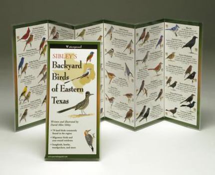Paperback Sibley's Backyard Birds of Eastern Texas Book