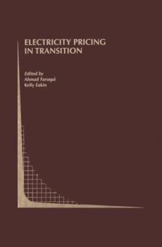 Hardcover Electricity Pricing in Transition Book