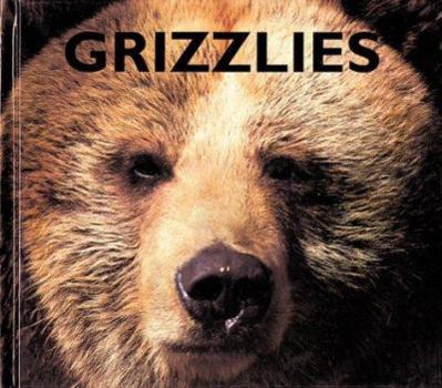 Library Binding Grizzlies Book