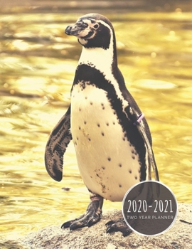 Paperback 2020-2021 Two Year Planner: Penguin Planner January 1, 2020 to December 31, 2021 Weekly & Monthly Planner + Calendar Views Aquatic Bird 2 Year Cal Book
