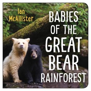 Board book Babies of the Great Bear Rainforest Book