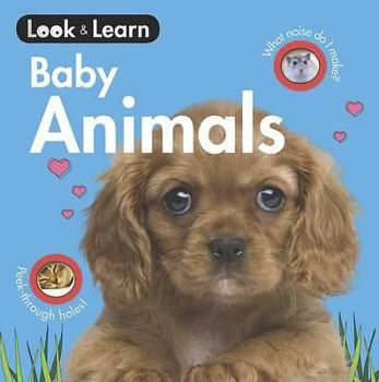 Board book Baby Animals Board Book