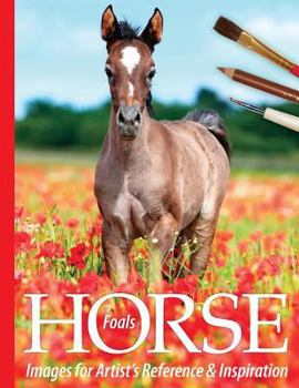 Paperback Foals: Horse Images for Artist's Reference and Inspiration Book