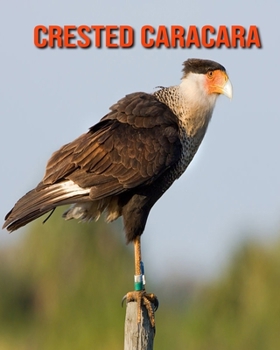 Paperback Crested Caracara: Amazing Facts about Crested Caracara Book