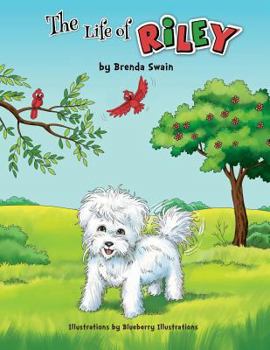 Paperback The Life Of Riley Book