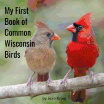 Paperback My First Book of Common Wisconsin Birds Book