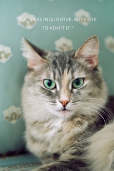 Paperback Notebook Journal: This Cat Notebook/ Cat Journal / Cat Women / For Cats Pets Lover (6x9 Journal) Lined Writing Notebook, 120 Pages Cat G Book