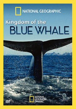 DVD National Geographic: Kingdom of the Blue Whale Book