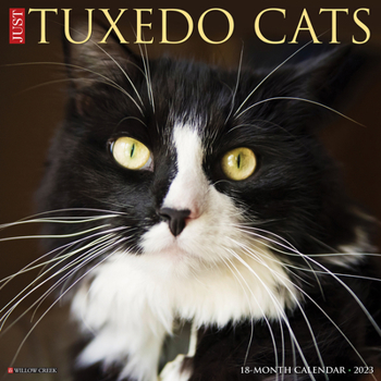 Calendar Just Tuxedo Cats 2023 Wall Calendar Book