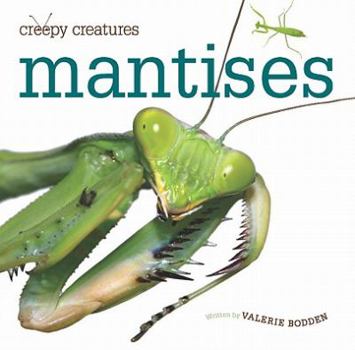 Library Binding Mantises Book