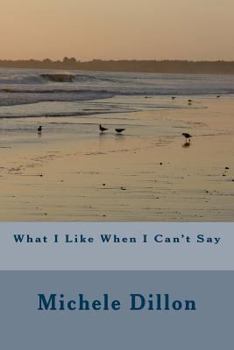 Paperback What I Like When I Can't Say Book