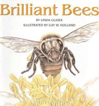Paperback Brilliant Bees Book