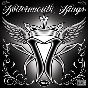 Vinyl Kottonmouth Kings Book