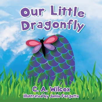 Paperback Our Little Dragonfly Book