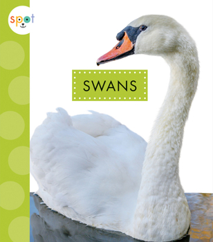 Library Binding Swans Book